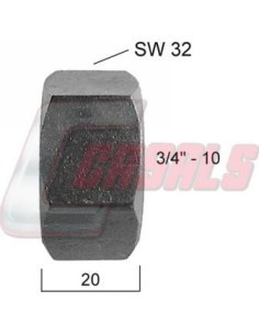 CASALS21340