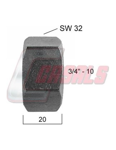 CASALS21340