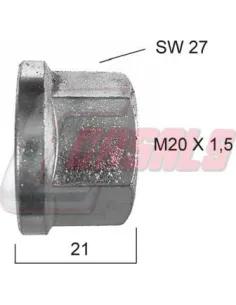 CASALS21341