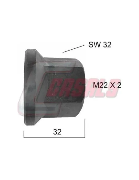 CASALS21342
