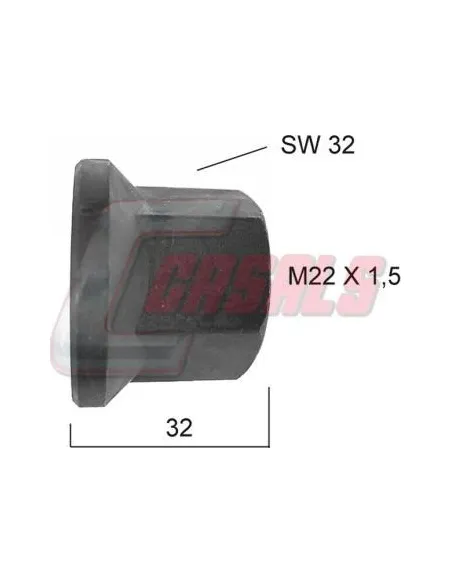 CASALS21344