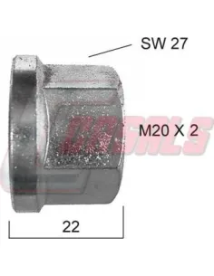 CASALS21345