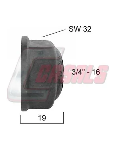 CASALS21346