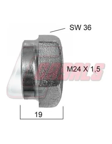 CASALS21349