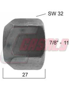CASALS21351