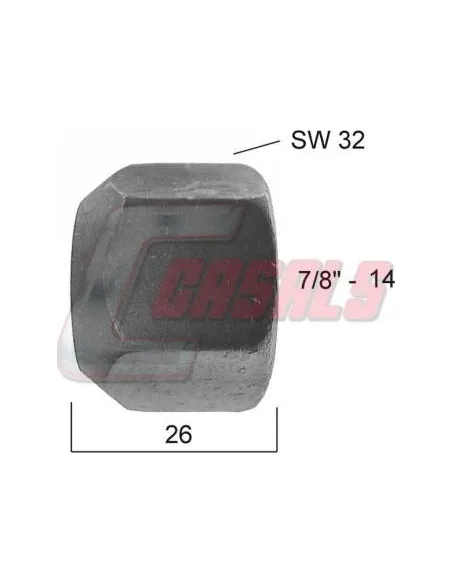 CASALS21353