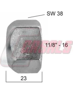 CASALS21355
