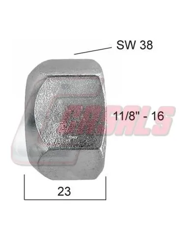 CASALS21355