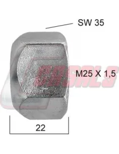 CASALS21356