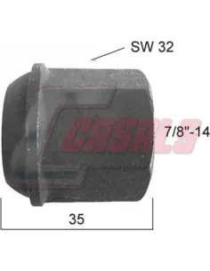 CASALS21359