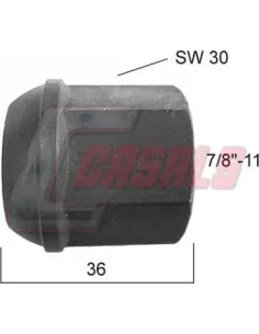 CASALS21360