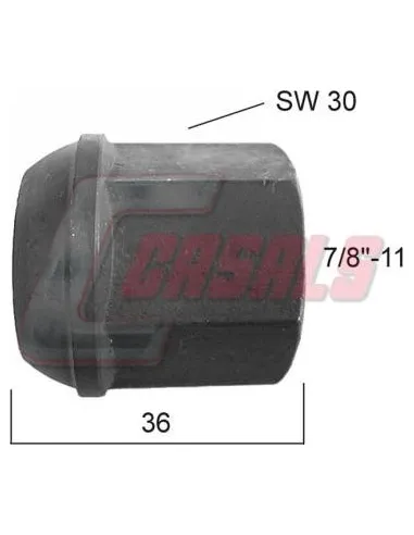 CASALS21361