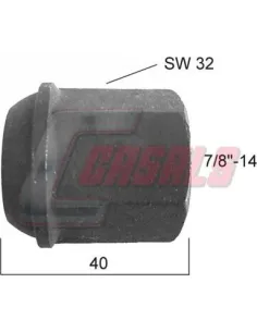 CASALS21362
