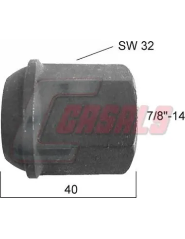 CASALS21362