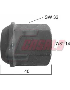 CASALS21363