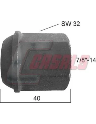 CASALS21363