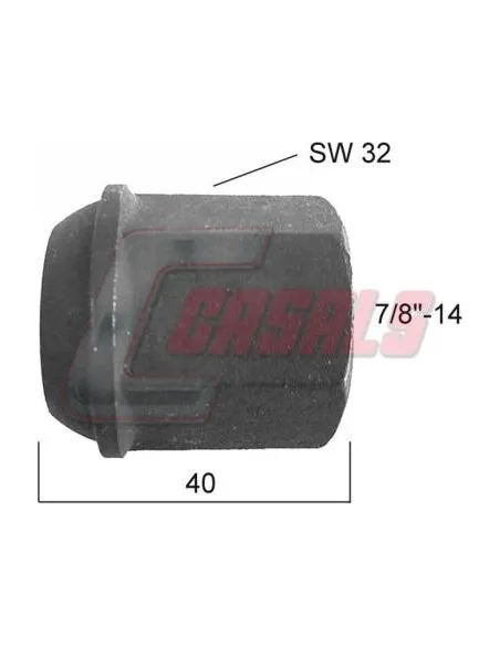CASALS21363