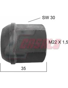 CASALS21364