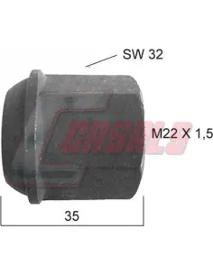 CASALS21365