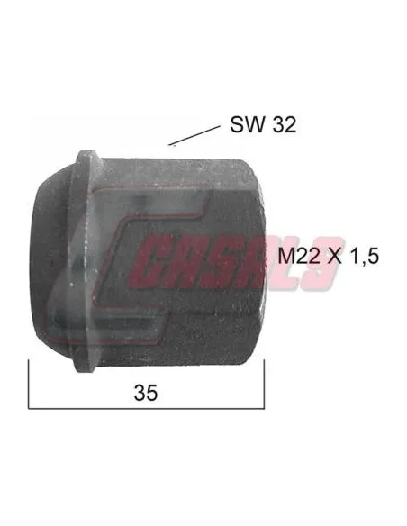 CASALS21365