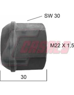 CASALS21368