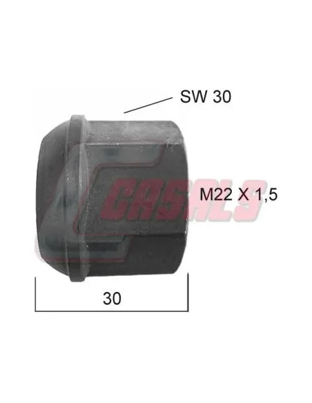 CASALS21368