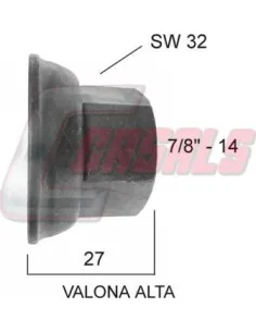 CASALS21373