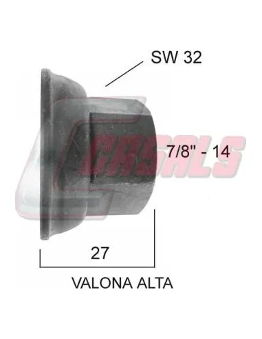 CASALS21373