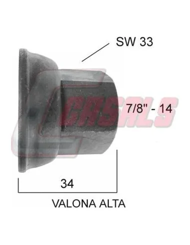 CASALS21374