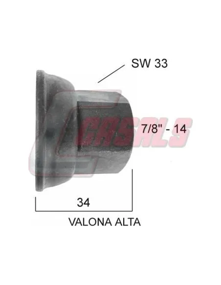 CASALS21374