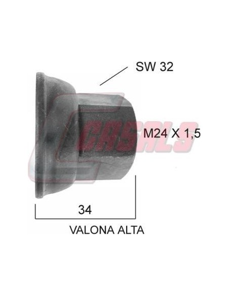 CASALS21375