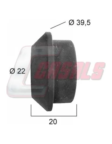 CASALS21376