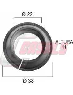 CASALS21380