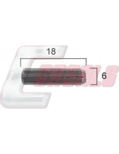 CASALS21384