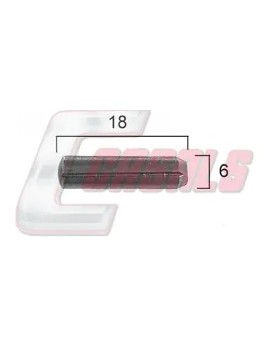CASALS21384