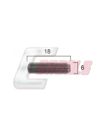 CASALS21384