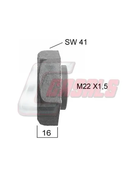 CASALS21385