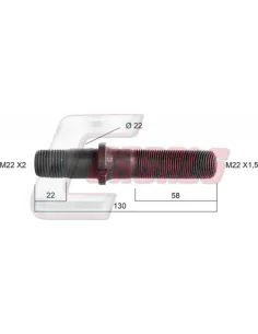 CASALS21386