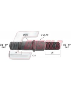 CASALS21397