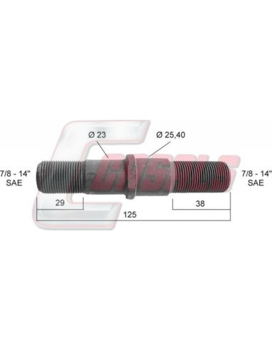 CASALS21397