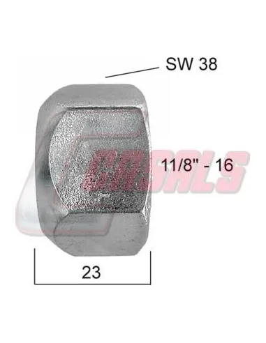 CASALS21398