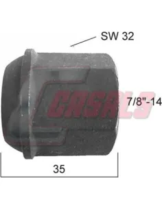 CASALS21399