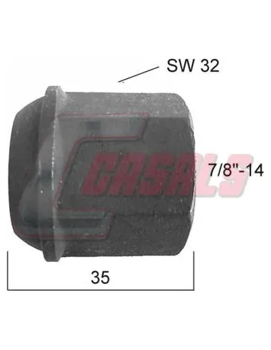 CASALS21399