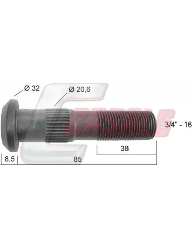 CASALS21401