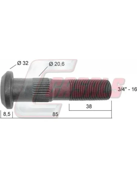 CASALS21401