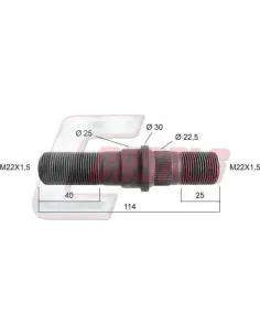 CASALS21406