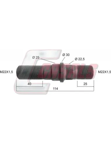 CASALS21406