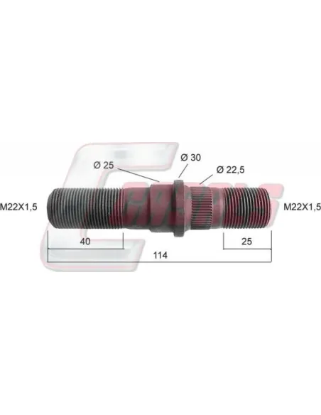 CASALS21406