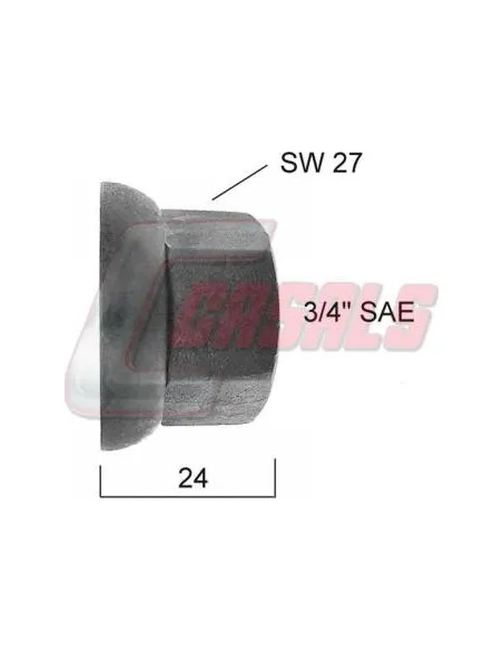 CASALS21411