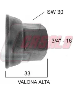 CASALS21413